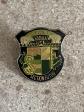Pin s Varoise Parc Natural Section Futur