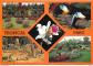 Carte Postale   56   Saint Jacut les Pins   Laugarel   Tropical Floral Parc   Mu