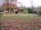 Maison couthenans 0 m� 5 pi�ces