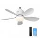 Ventilateur de Plafond avec Lumi�re et Telecommande, 53cm LED Lampe Ventilateur