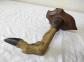 Taxidermie ancien Troph�e de chasse, patte de chevreuil