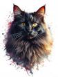 A4 Chat Noir Explosion Colors Art Print Poster Decor 1962