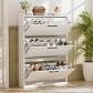 Meuble � Chaussures �troit, Armoire basculante avec Porte � persiennes, Meubl...