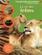 La vie des f�lins, Collectif et Sylvie Deraime