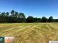 Terrain montbozon 0 m� 0 pi�ces