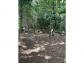 Terrain saint-joseph 970 m� 0 pi�ces