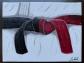 tableau judo ceinture blanche rouge 6e dan, a�kido, krav maga, karat� ou autre