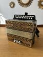 ACCORD�ON DIATONIQUE HOHNER 2915 INSTRUMENT DE MUSIQUE