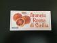 AUTOCOLLANT STICKERS ARANCIA ROSSA DI SICILIA MAGIC EVENTS GOODIES PUB