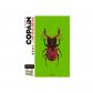 Copain des petites b�tes : le guide des jeunes entomologistes