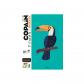 Copain des oiseaux : le guide des jeunes ornithologues
