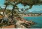 Carte Postale   06   Carnoles   Le Cap Martin et ses pins pench�s   Au fond Roqu