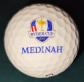 balle de golf Ryder Cup 2012   Medinah