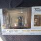 Harry Potter Potion Class Professeur Snape