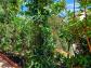 Maison banyuls-sur-mer 107 m� 5 pi�ces