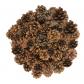 Lot de 50 mini c�nes de pin pour d�corations de No�l, couronnes de No�l, acce...