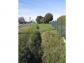 Terrain mouliherne 286 m� 1 pi�ces