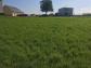 Terrain la-baroche-sous-luce 675 m� 0 pi�ces