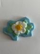 F�ve   Fleurs V�d�re   Edelweiss