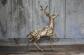 Statue cerf , sculpture grand cerf en laiton, d�coration int�rieur, collection