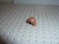 LEGO STAR WARS Light Brown Minifig hair ref 4530 Set sw0120-7256-7283