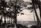 17 ILE D OLERON FORET DE PINS EN BORDURE DE LA MER