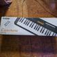 Casiotone Cts100