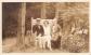 ANCIENNE PHOTOGRAPHIE ANCIENNE UNE FEMME ET DEUX HOMMES SUR UN BANC