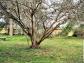 Terrain gaillon 455 m� 0 pi�ces