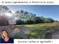 Terrain sartilly-baie-bocage 452 m� 0 pi�ces