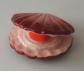 F�ve Coquille Saint Jacques. Lot 8