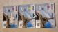 Lot de 3 cartouches d'encre d'origine Epson T7023 et T7024