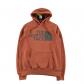 The North Face Sweat � capuche TNF Homme Taille L Marron #QWE1162