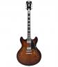 Guitare Electrique D'ANGELICO PREMIER DC BROWN BURST