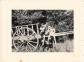 ANCIENNE PHOTOGRAPHIE TRIO D'ENFANTS PRENNENT LA POSE SUR UNE CHARRETTE