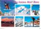 Carte Postale   73   Col des Saisies   Les Saisies   Multivues   Snowboard   CPM