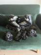 Rollers Et Accessoires