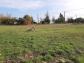 Terrain lautrec 1049 m� 0 pi�ces