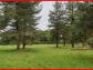Terrain guemene-penfao 1249 m� 0 pi�ces