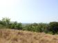 Terrain sainte-dode 0 m� 0 pi�ces