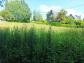 Terrain gourin 0 m� 0 pi�ces