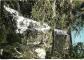 Carte Postale   58   Lormes   La Cascade   Mention Photographie V�ritable   Cart