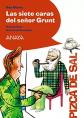 Las siete caras del se�or Grunt (LITERATURA INFANTIL   Pizca de Sal), Ana Alonso
