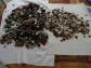 Lot de boutons ancien en vrac mercerie  De Tout Genre 3 kg