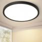 Plafonnier LED   22Cm Noir Lampe De Salle De Bain 18W Lampe De Chambre Ip44