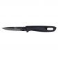 Couteau d'office lame 9cm en titanium titane  20.00x3.00 cm