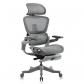 Fauteuils HINOMI H1 Pro V2 NEUF sous GARANTIE (quantit� 2)   couleur grise