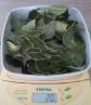 Lot De Feuilles de laurier S�ch�es