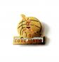 RNT N- Pin's basketball JS Coulaines