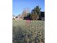 Terrain courlay 487 m� 0 pi�ces